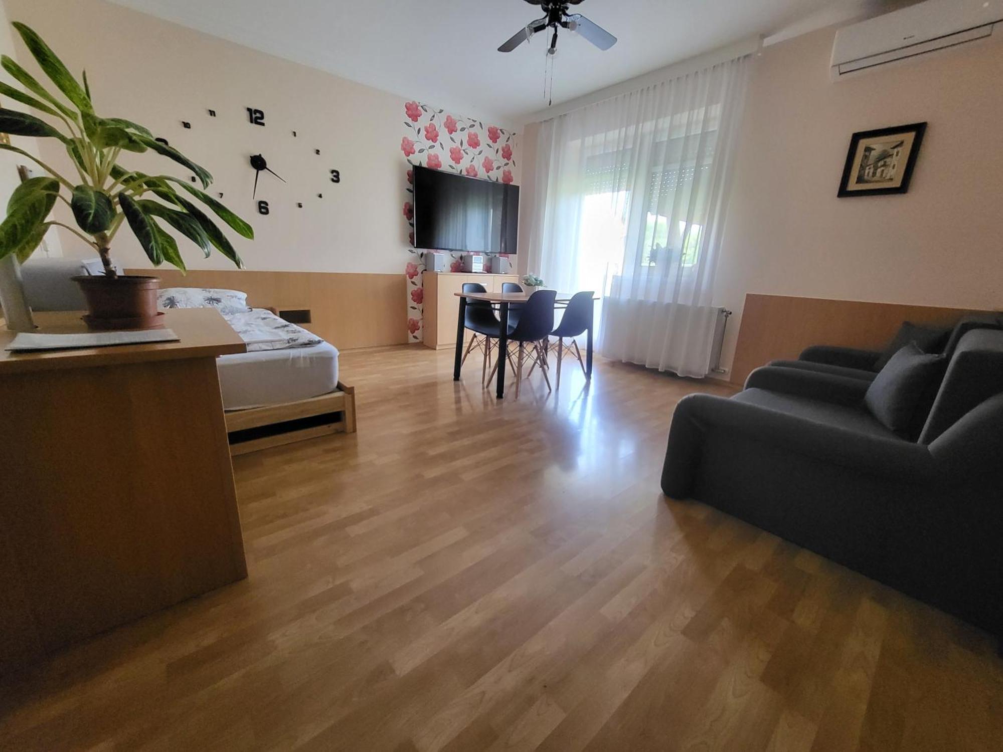 Apartment Jozsef Attila *
